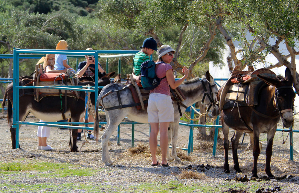 Horse Riding Crete | Plakias Horse Riding Center | Beach & Sunset Tours