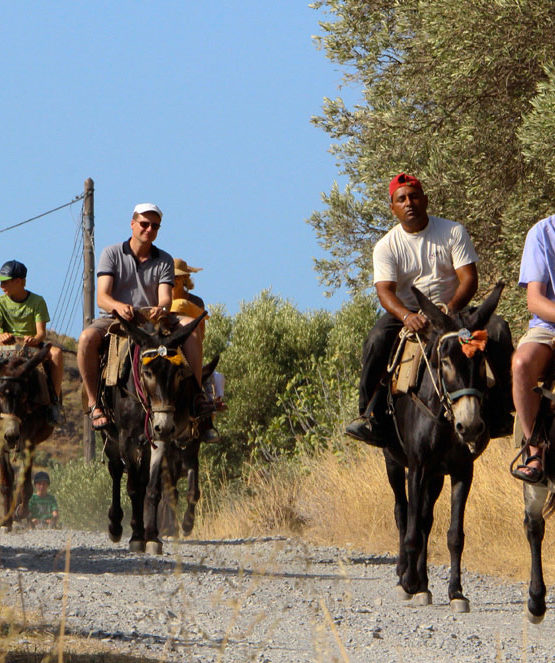 Horse Riding Crete | Plakias Horse Riding Center | Beach & Sunset Tours