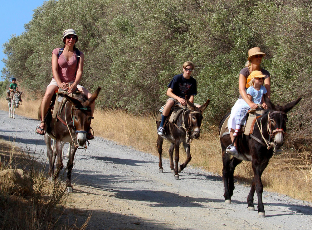 Horse Riding Crete | Plakias Horse Riding Center | Beach & Sunset Tours