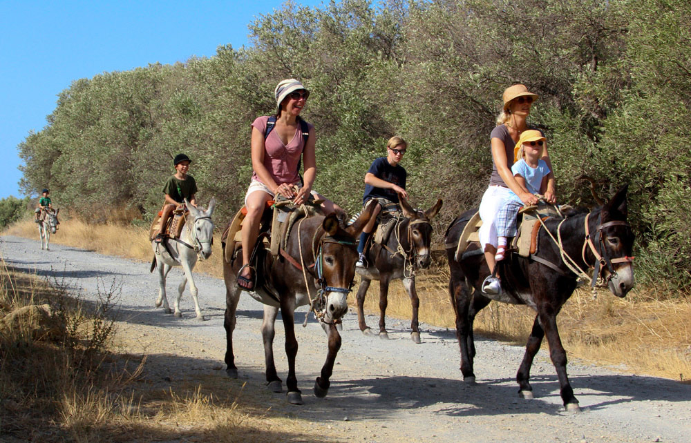 Horse Riding Crete | Plakias Horse Riding Center | Beach & Sunset Tours