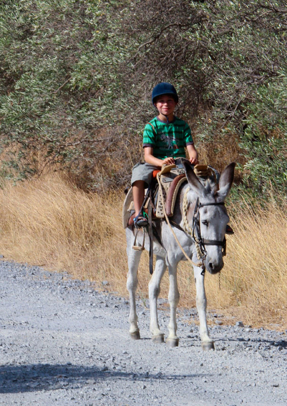 Horse Riding Crete | Plakias Horse Riding Center | Beach & Sunset Tours