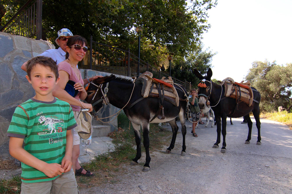 Horse Riding Crete | Plakias Horse Riding Center | Beach & Sunset Tours