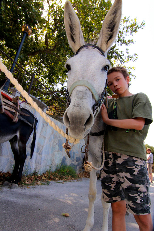 Horse Riding Crete | Plakias Horse Riding Center | Beach & Sunset Tours