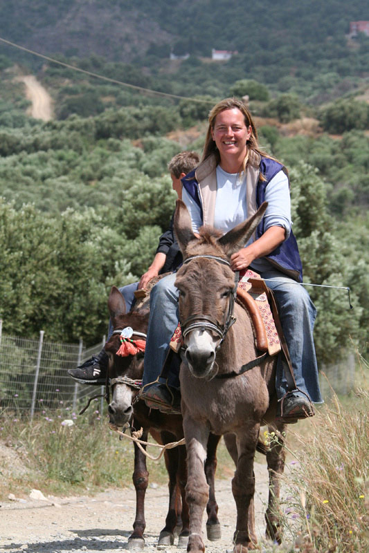 Horse Riding Crete | Plakias Horse Riding Center | Beach & Sunset Tours
