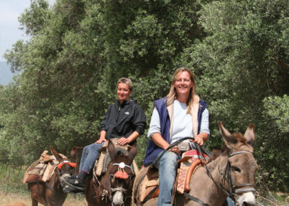 Horse Riding Crete | Plakias Horse Riding Center | Beach & Sunset Tours