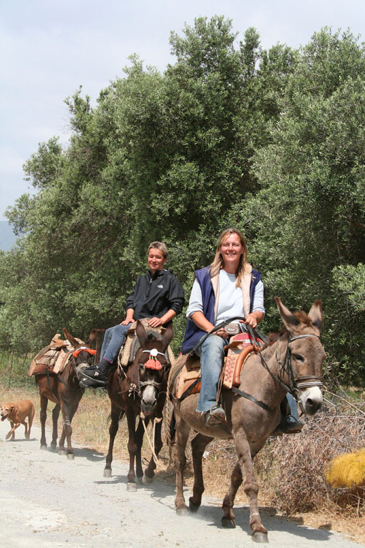 Horse Riding Crete | Plakias Horse Riding Center | Beach & Sunset Tours
