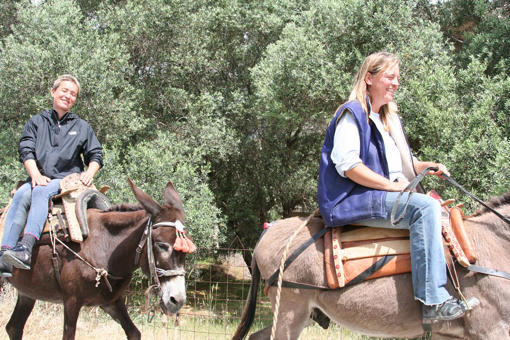 Horse Riding Crete | Plakias Horse Riding Center | Beach & Sunset Tours