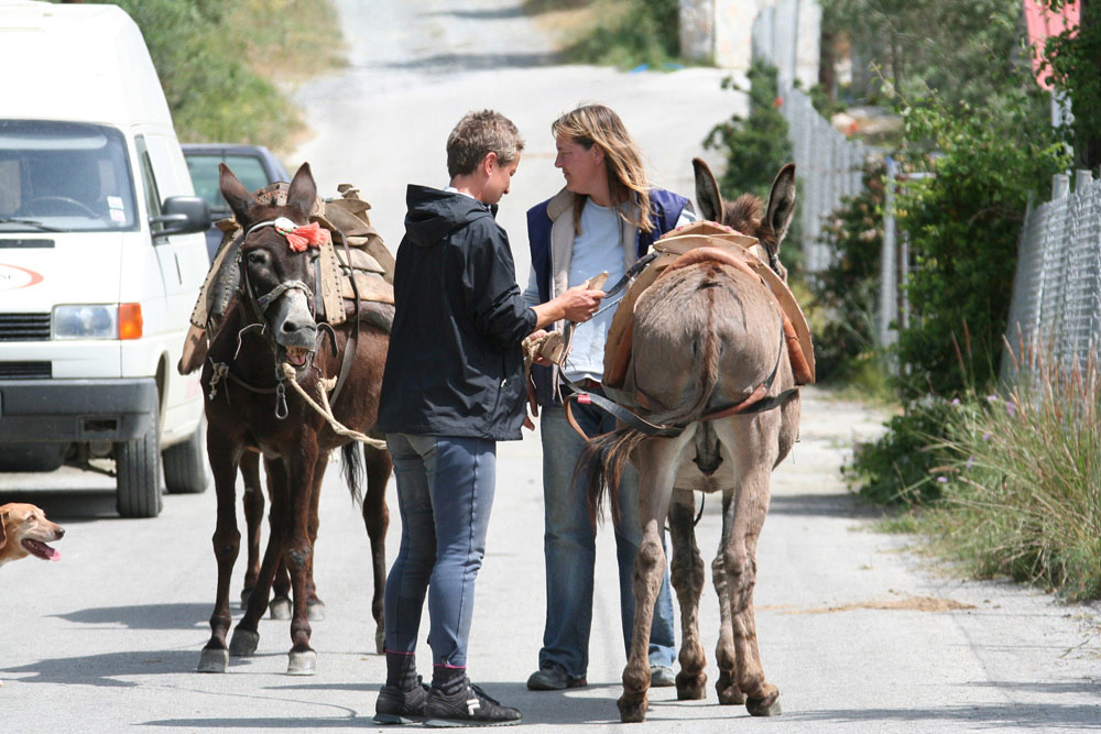 Horse Riding Crete | Plakias Horse Riding Center | Beach & Sunset Tours