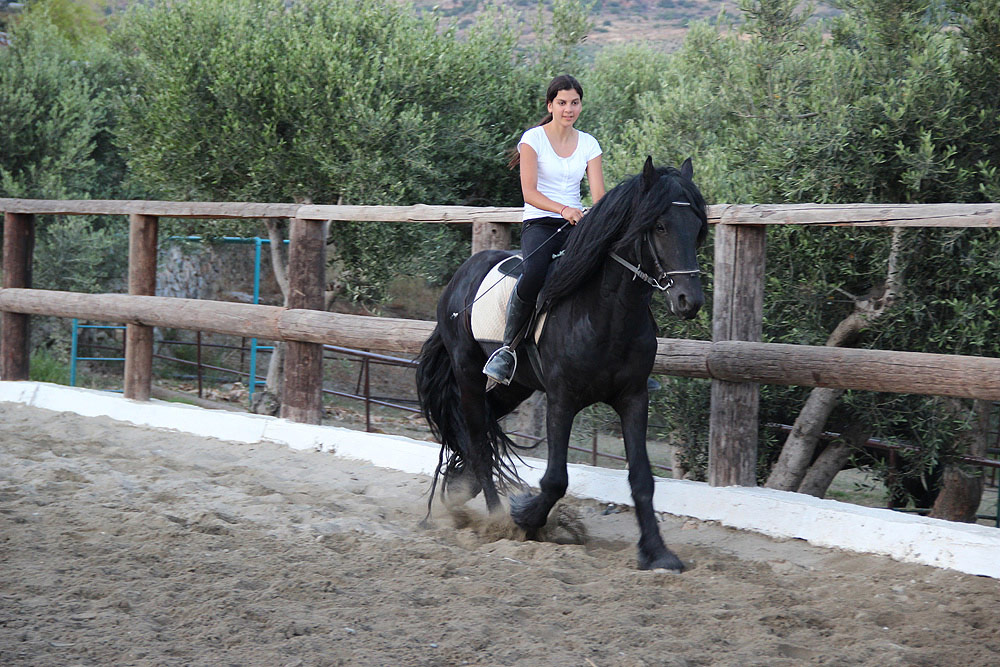 Our Horses Crete Horse Riding