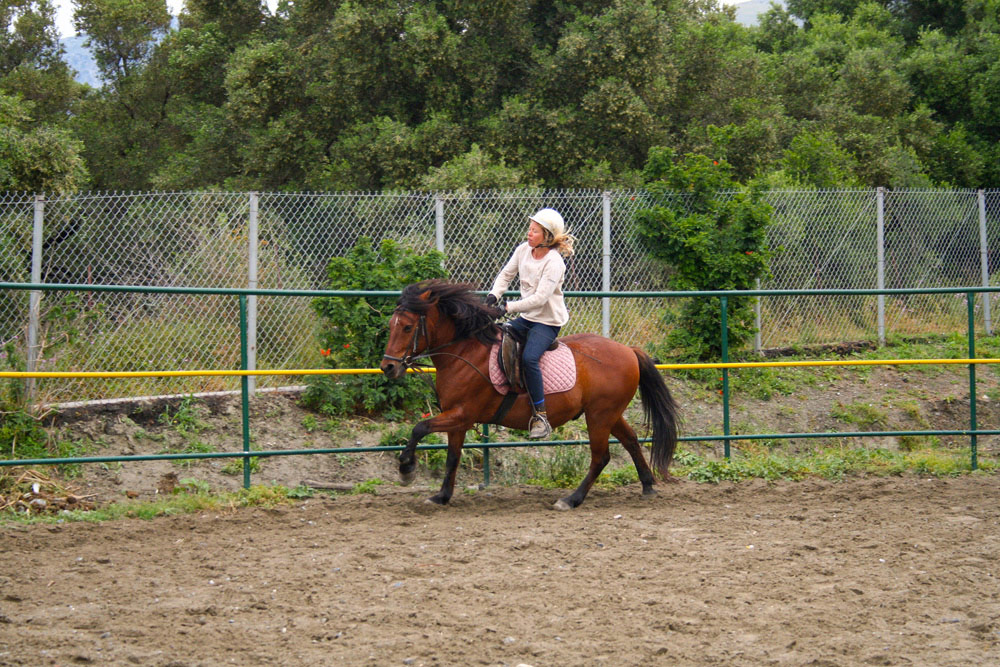 Horse Riding Courses Crete Horse Riding horse-riding-courses-crete-horse-riding