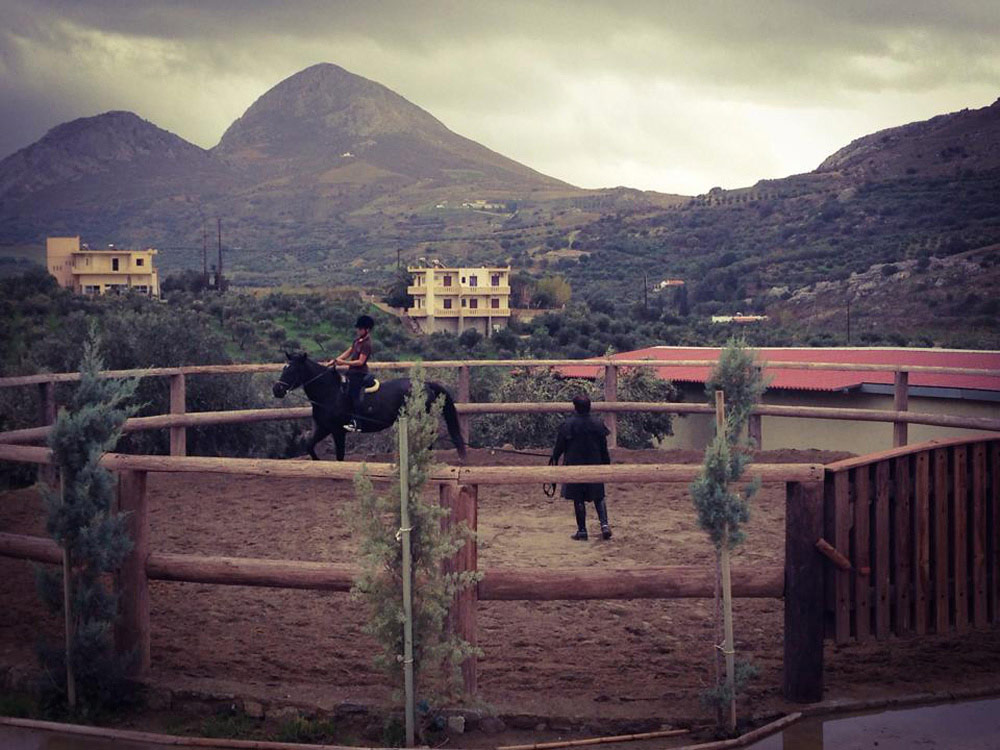 Horse Riding Courses Crete Horse Riding horse-riding-courses-crete-horse-riding