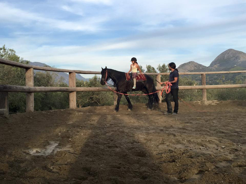 Horse Riding Courses Crete Horse Riding horse-riding-courses-crete-horse-riding