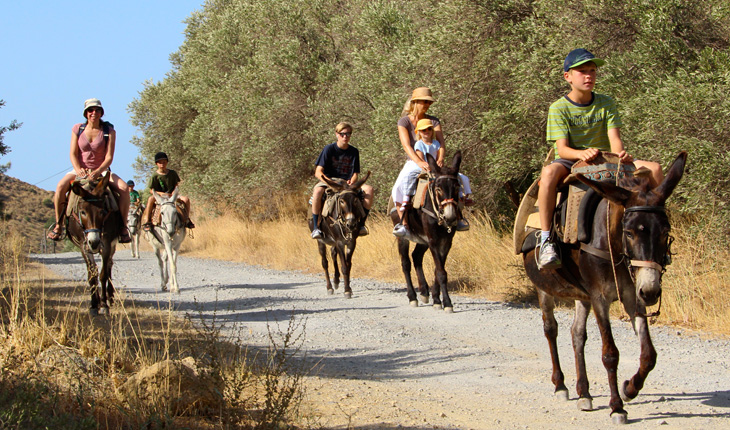 Horse Riding Crete | Plakias Horse Riding Center | Beach & Sunset Tours