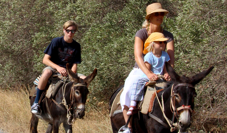 Horse Riding Crete | Plakias Horse Riding Center | Beach & Sunset Tours