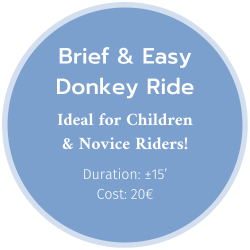 Brief & Easy Horse Ride (2)