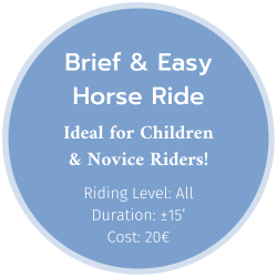 Brief & Easy Horse Ride